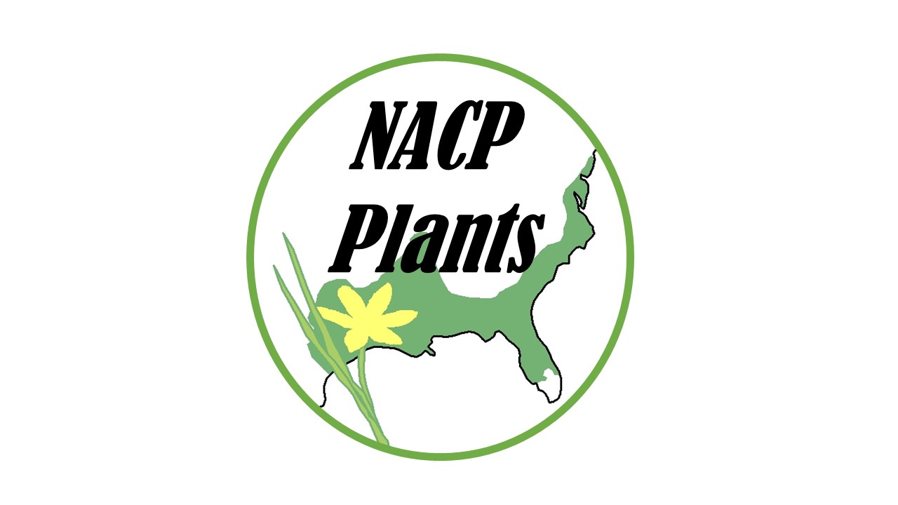 NACP logo.jpg
