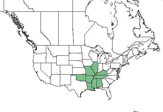 Helianthus silphioides range.png
